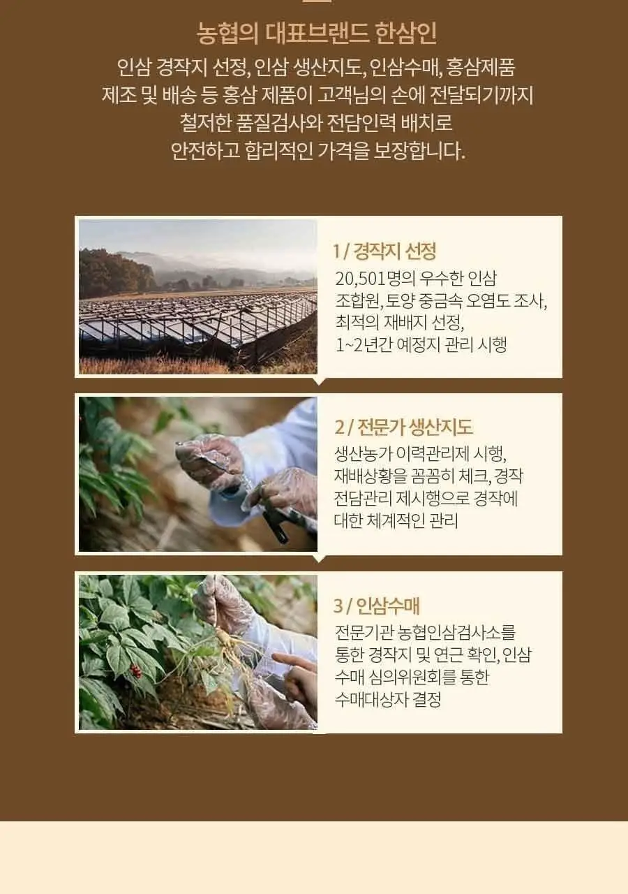 [박보영PICK] 한삼인 홍삼진 기운담은선물세트 1세트 + 쇼핑백 상세페이지 9